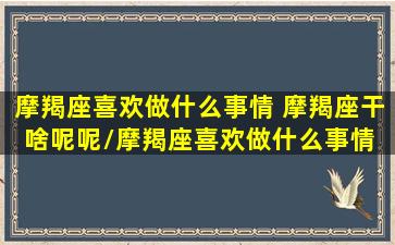 摩羯座喜欢做什么事情 摩羯座干啥呢呢/摩羯座喜欢做什么事情 摩羯座干啥呢呢-我的网站